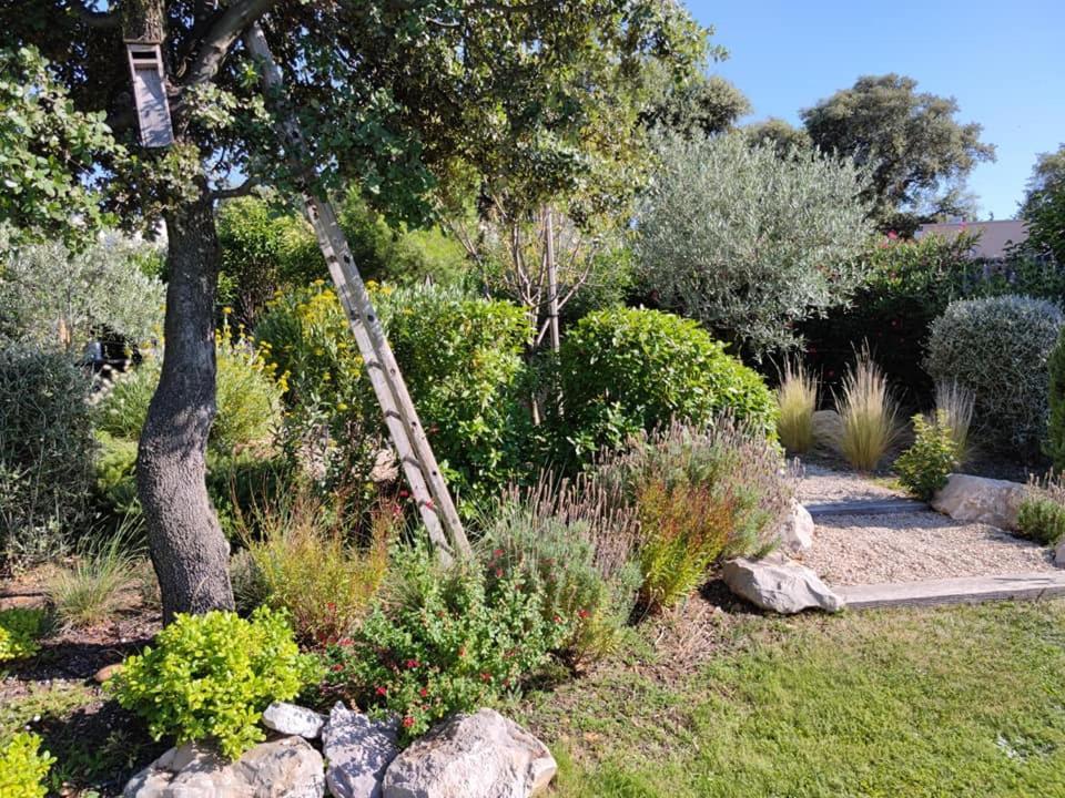 La Mathilde Acomodação com café da manhã Villeneuve-lès-Avignon Exterior foto